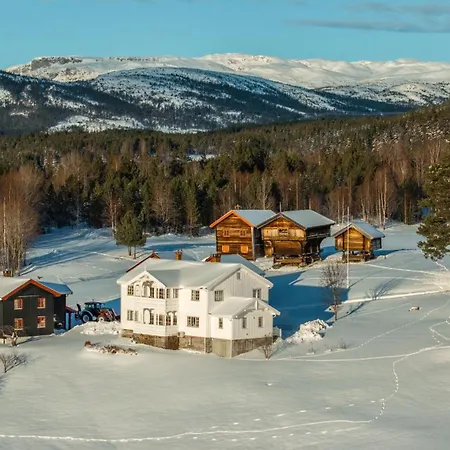 Bolkesjo Gaard Villa Notodden Exterior photo